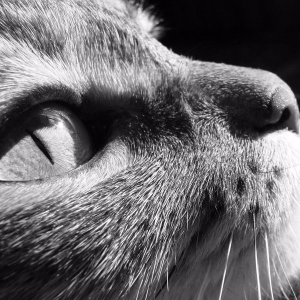 Петр Скударнов