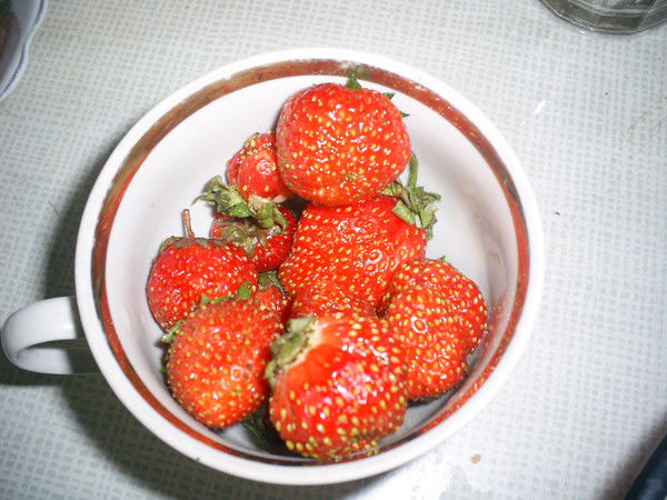 Юлия Шлыкова