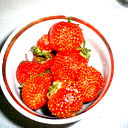 Юлия Шлыкова