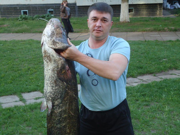 Ильшат Киямов