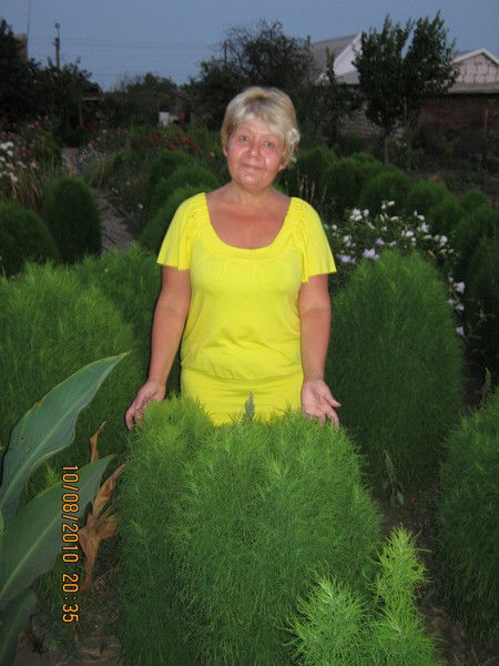 Людмила Николайчик