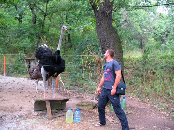 Денис Тиханов