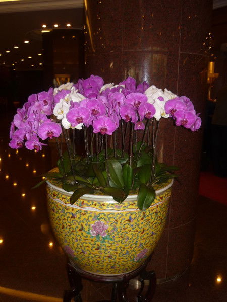 Ирина Ивановская