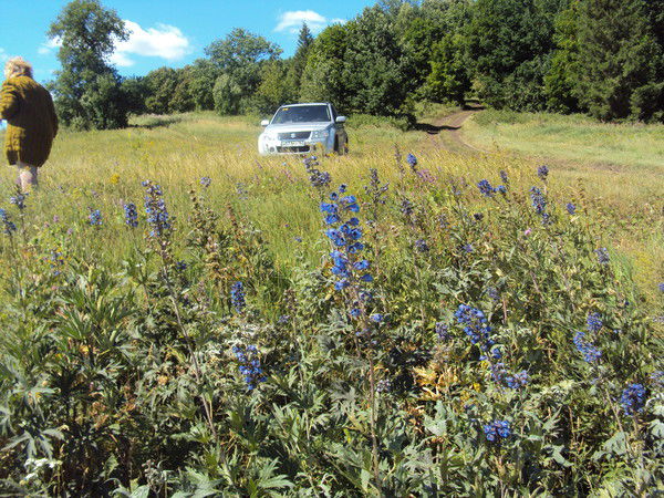 Татьяна Ващило