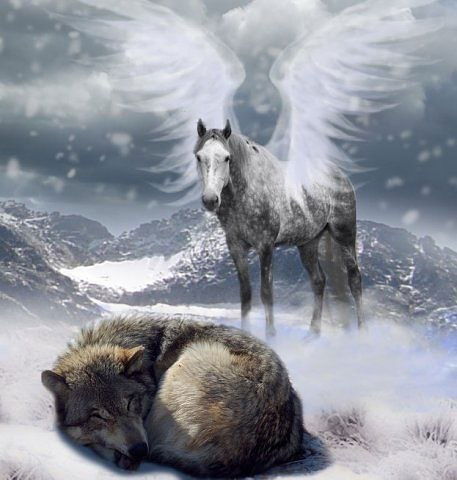 Татьяна Сергеева