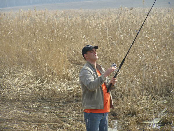 Александр Вереютин