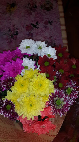 Вероника Каипова