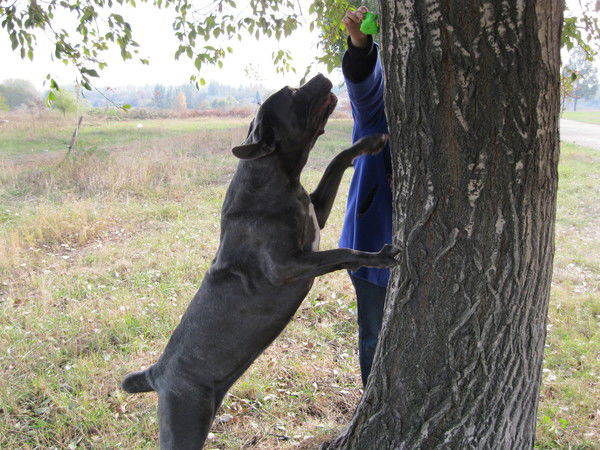 Артем Яковлев