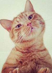 Диана Манапова