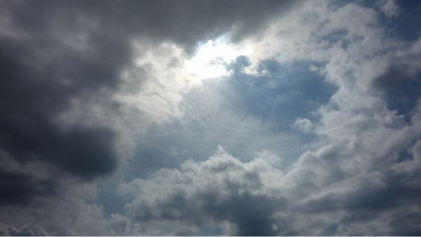 Виталий Чекалев