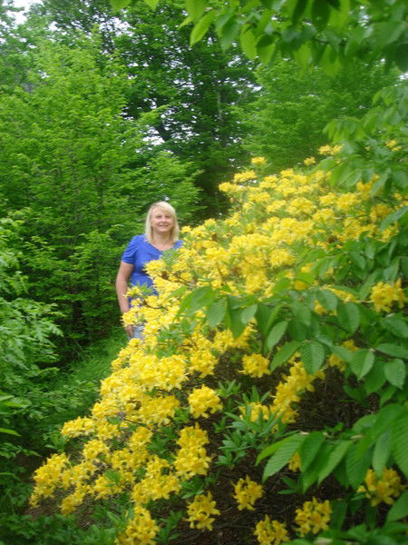 Светлана Мартынова