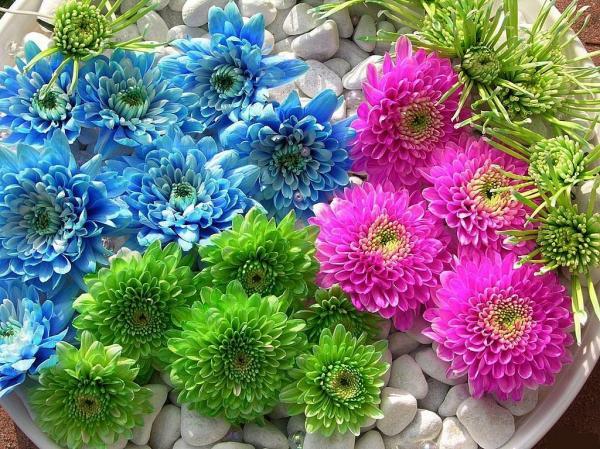 Виктория Косарева