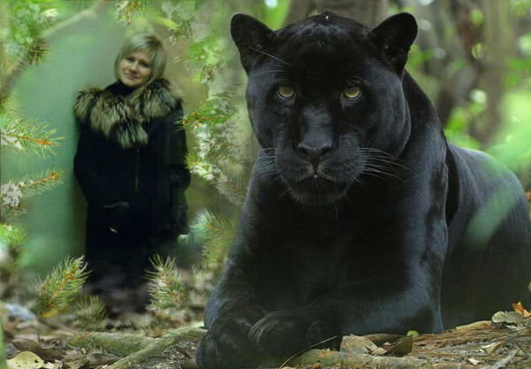 Светлана Лапина