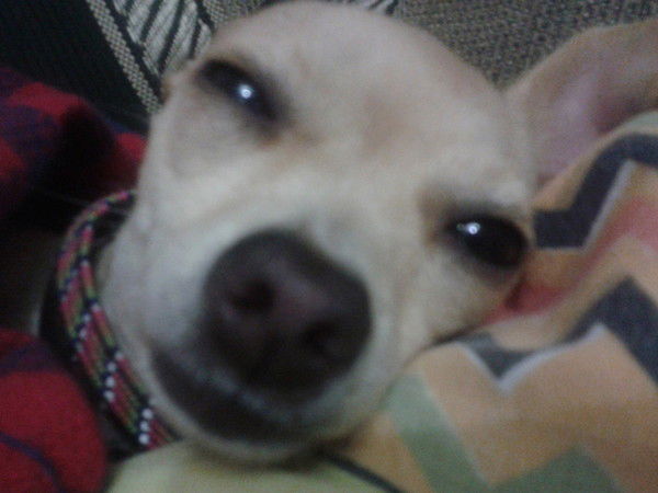 Наталья Ожмегова