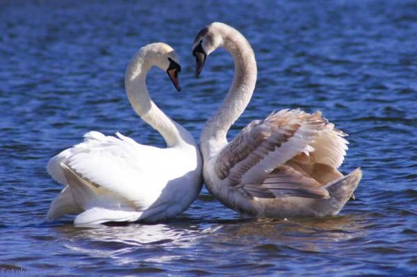 Яна Алексеева