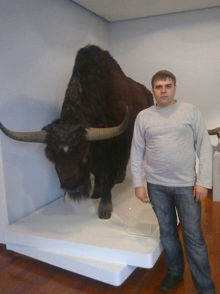 Госендибир Газимагомедов