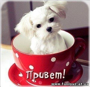 Татьяна Дербенева