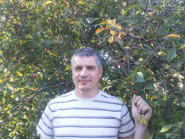 Овсяник Александр