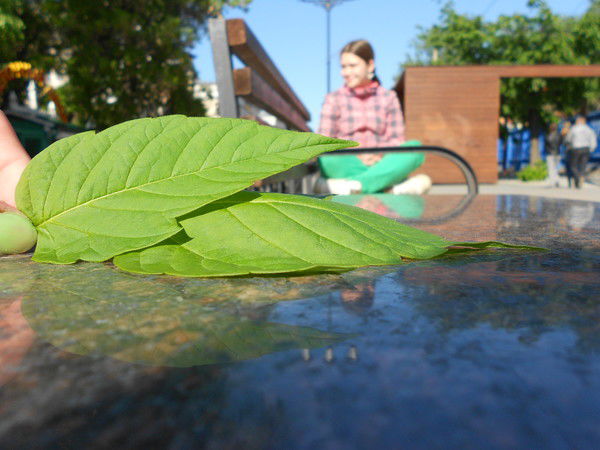 Анна Чалова