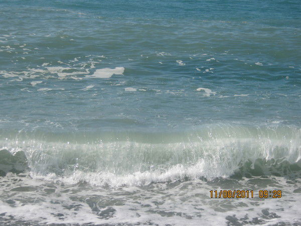 Алевтина Плешкова