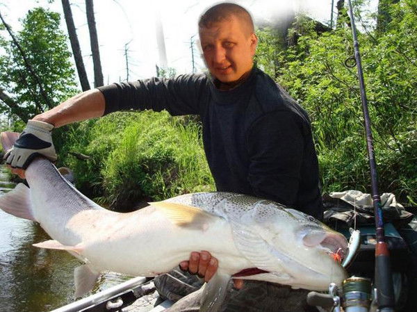 Степан Елистратов