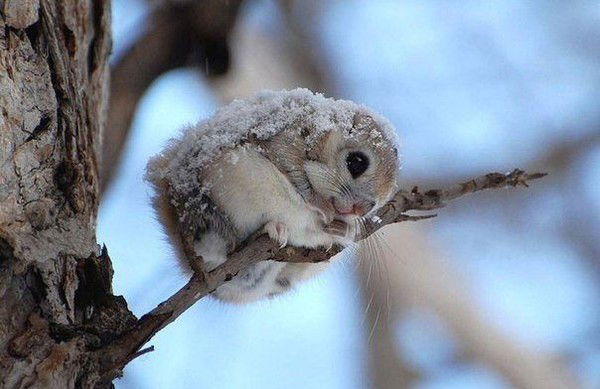 Наталья )))))