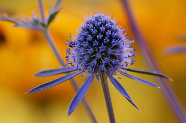 Эльвира Юнусова (Латыпова)