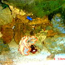 Наталья Былкова