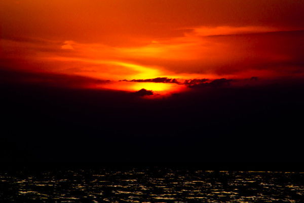 Владимир Скобелев