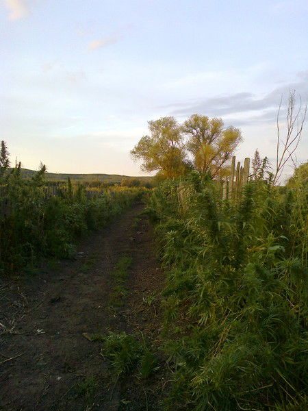 Ильдар Бахтеев