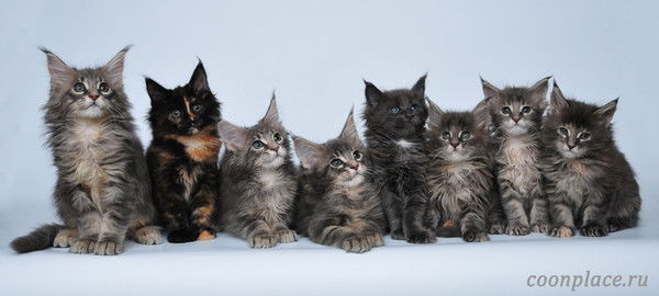 Марина Зайцева