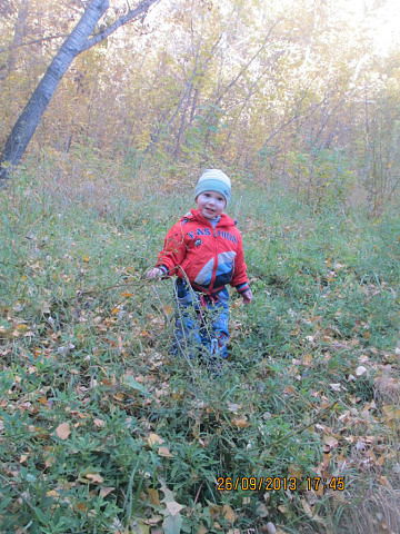 Анастасия Карпушкина