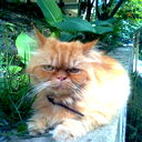 Skazzz ****
