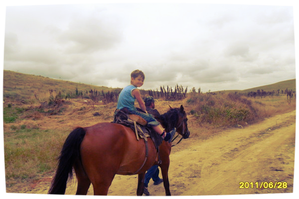 Даниил Мальцев