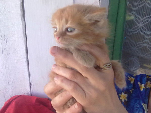 Валентина Быковская