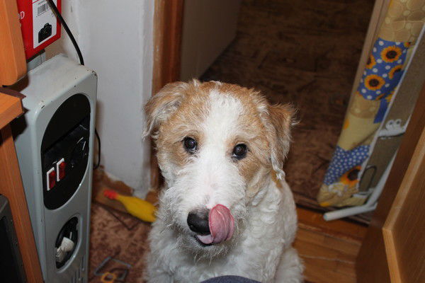 Дмитрий Вурсол