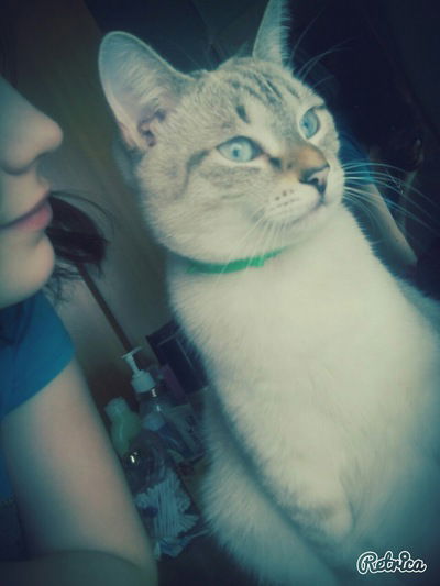 Снежана Батищева