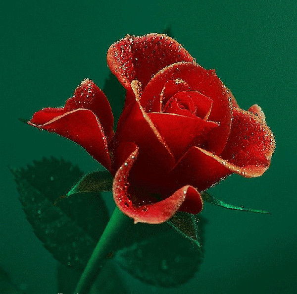 Зарина Атантаева