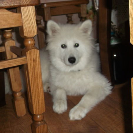 Александр Роздобудько