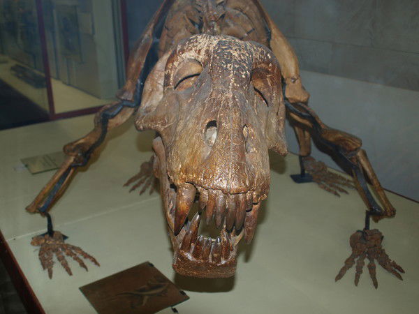 Александр Кулешов