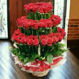 Наталья Цитрикова