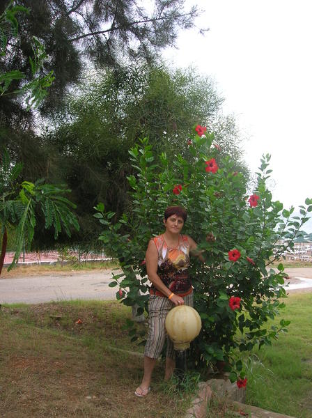 Вера Богачева