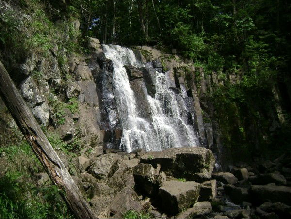 Галина Чернуха