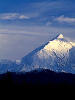 Сэм Макашев