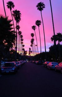 Дмитрий Толькин