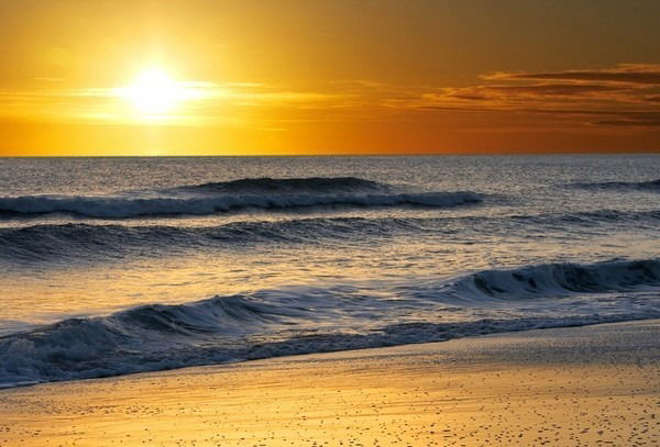 Владимир Некрасов