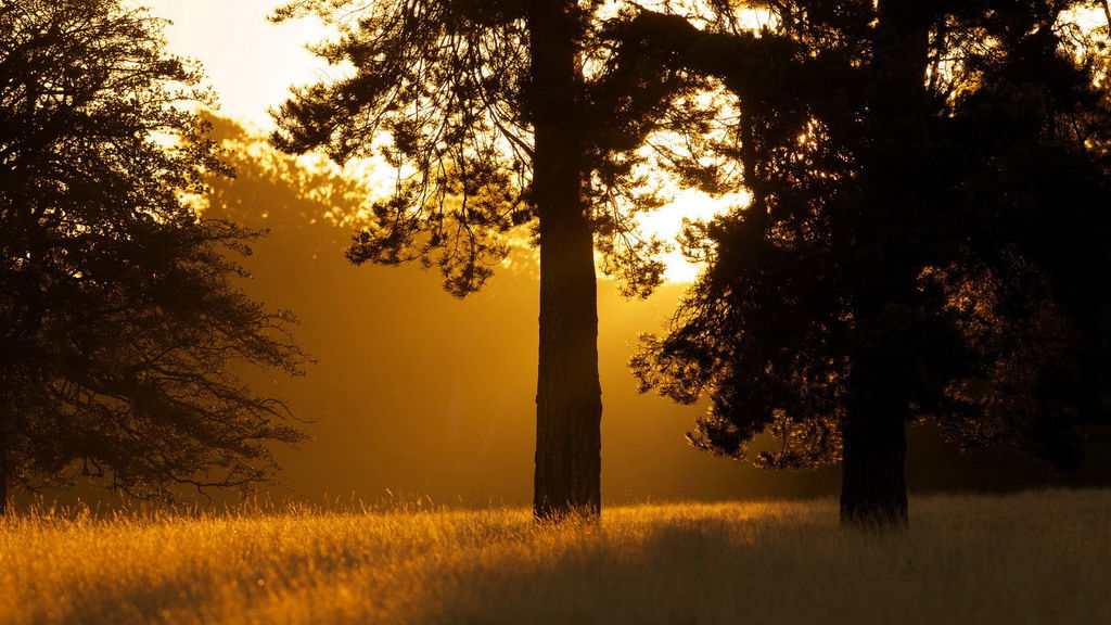 Костя Дренёв