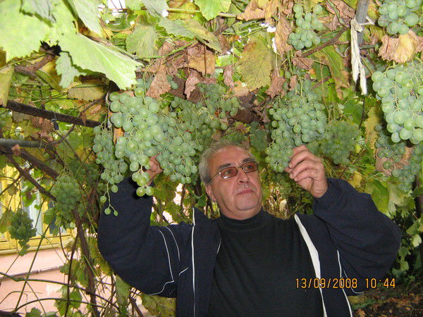 Виктор Гребениченко