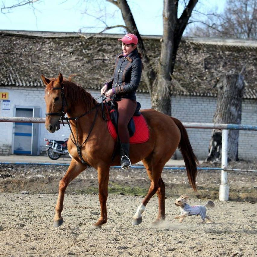 Елена Кузнецова