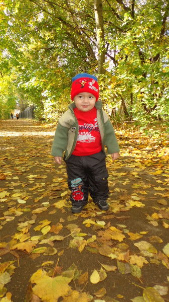 Афтош Искендеров